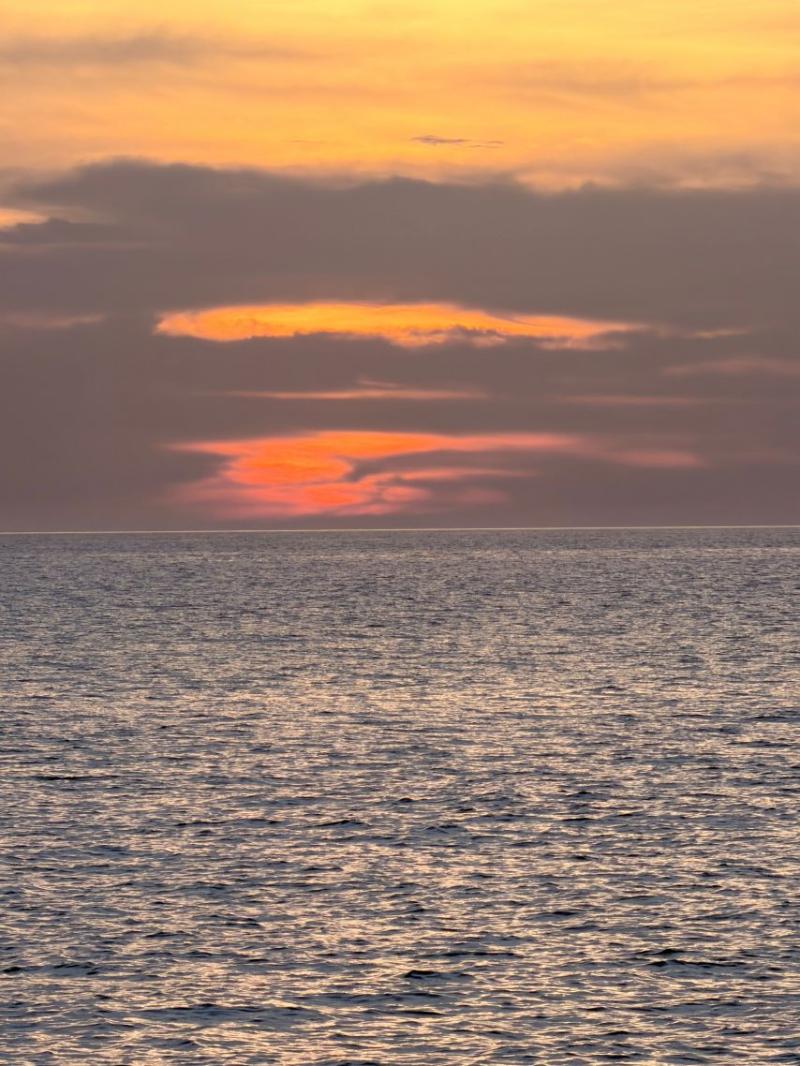 베이비몬스터 치키타