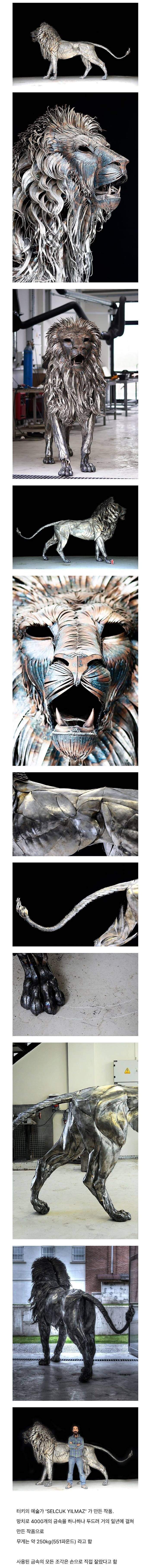 터키 예술가가 만든 사자