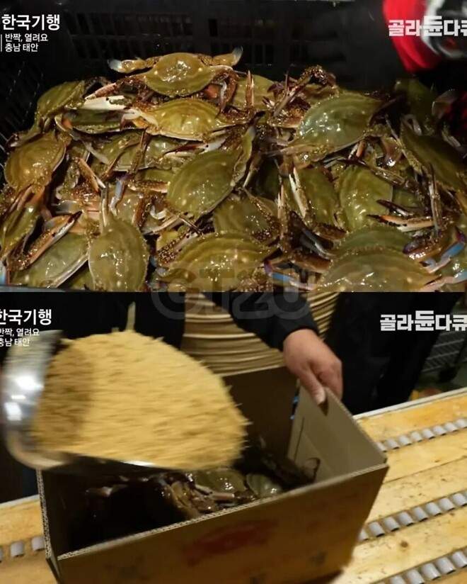 피해자들의 일관적인 진술