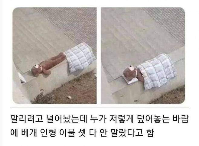 친절함이 부른 참사