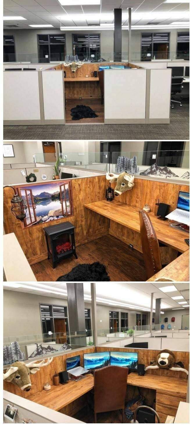 신입이 본인 파티션 안쪽 꾸며도 되냐 길래