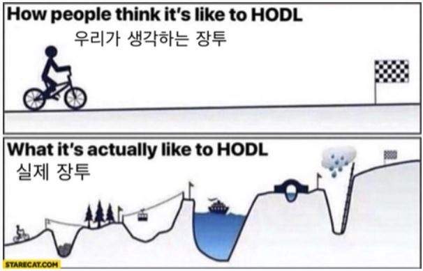 우리가 생각하는 장기투자 현실 한짤정리