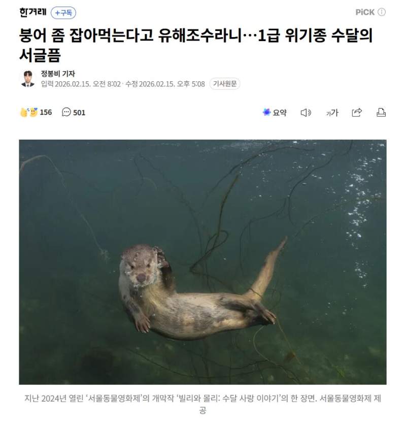 붕어 좀 잡아먹는다고 유해조수라니…1급 위기종 수달의 서글픔
