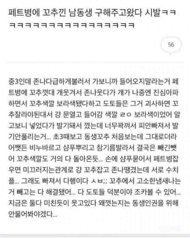 페트병에 고추낀 동생 구해준 누나