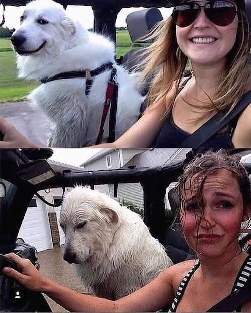 오픈카의 위용 ㅋㅋ