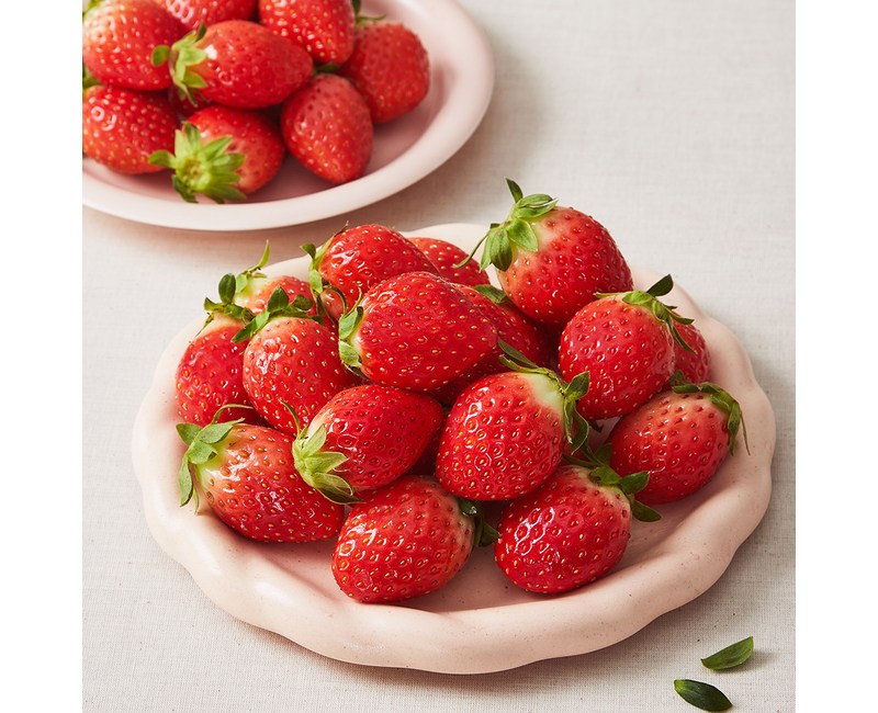 설향 딸기 중과