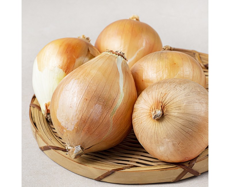 국내산 친환경 양파