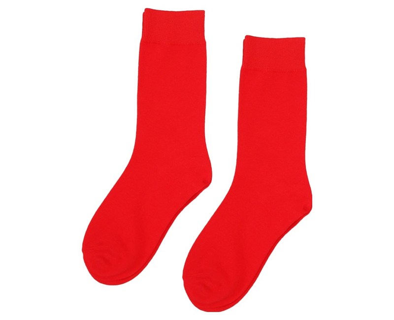 지앤 아이부터 엄마까지 g패밀리 비비드 컬러 양말 2켤레 세트