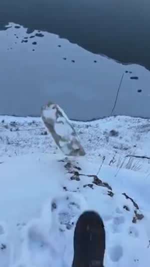 소리] 각진돌 하나를 굴려보았을 뿐인...mp4