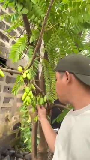 친구야, 나도 먹어볼래