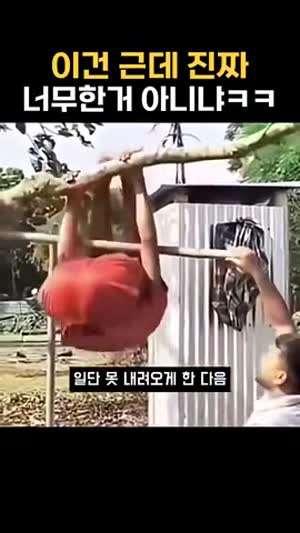 이건 근데 진짜 너무한거 아니냐ㅋㅋ