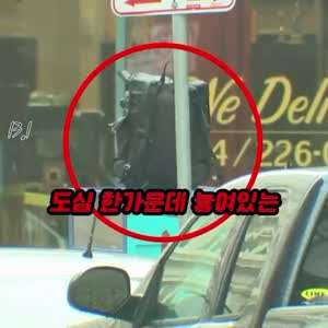 소리] 답답해서 빡쳐버린 길가던 행인.mp4