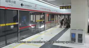 고양이들을 위해 지하철 만든 집사. 1