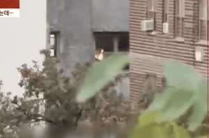 LG 공짜 미국 뉴스 광고 (feat. TV)