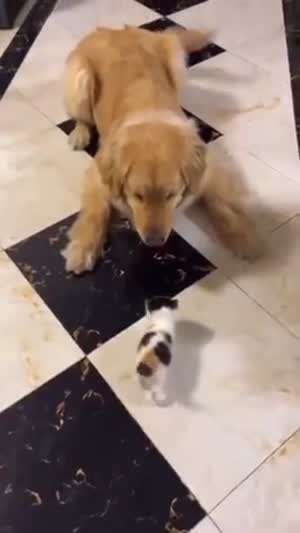 귀여워 죽네 죽어