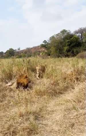 여보, 나 급한 일이...