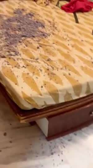 눈치는 보는 녀석