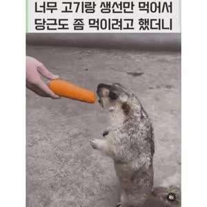 편식하지마