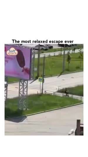 소리] 너무나도 여유있는 도주.mp4