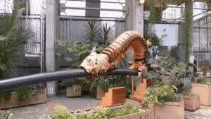 기어가는 놀이기구