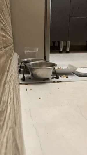 걸레 대신 네 놈으로.....