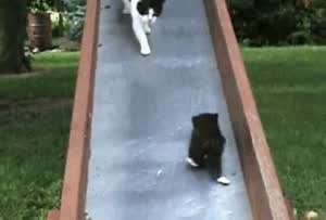 엄마 고생시키는 시끼들