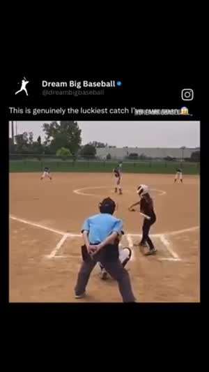 소 뒷걸음질치다가