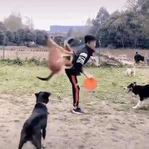 날래 가서 물어왕!!