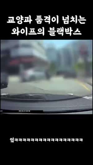 교양과 품격이 넘치는 와이프