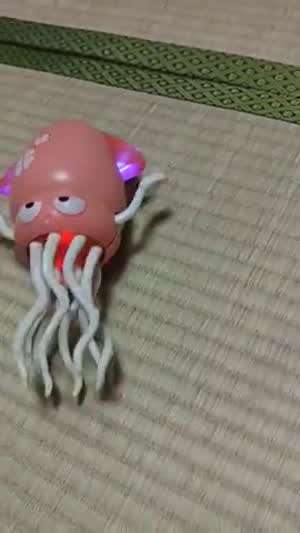 이토인 닮은 토이가 나왔어요