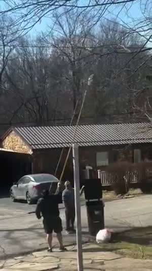 말벌 둥지를 처리하려는 남자들은 멘탈이 나가버렸습니다...