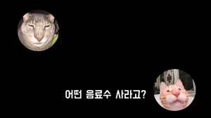 진짜로 나와버린 미에로 사이다