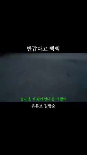 강아지한테서 반갑다고 삑삑 소리가 나요 왜 구래요?