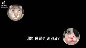 진짜로 나와버린 미에로 사이다