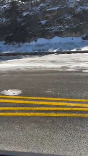 미국에서도 인기인 컬링