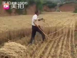 이런거 생전 첨보네요