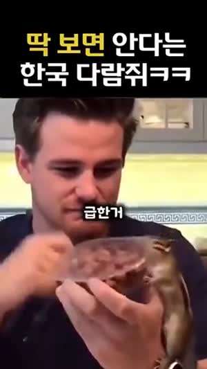 딱보면 안다는 한국다람쥐