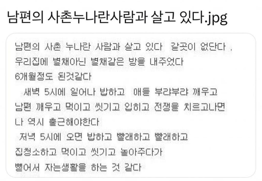 남편의 사촌누나란 사람과 살고 있다